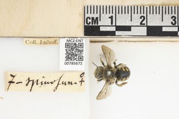 Media type: image;   Entomology 785672 Aspect: Labels